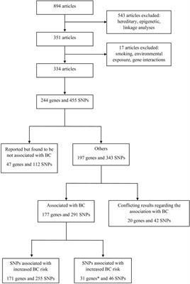 Genetic Polymorphisms Involved in Bladder Cancer: A Global Review